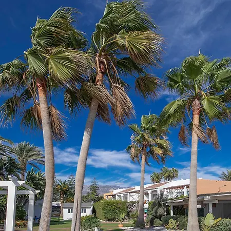 Paradise, Nº5 * Nerja