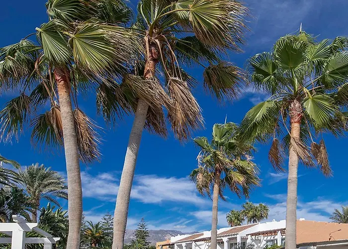 Paradise, Nº5 * Нерха